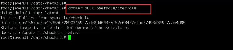 checkcle-1.png